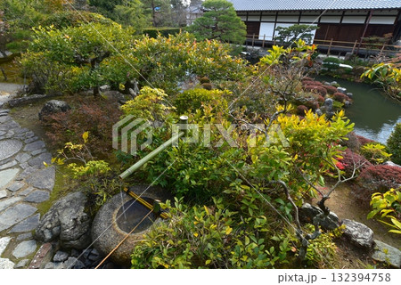 等持院の蹲 等持院の蹲 132394758