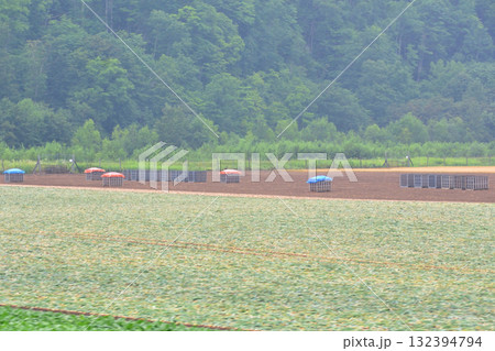 JR北海道石北本線東相内駅から留辺蘂駅間の風景(2023年夏) 132394794