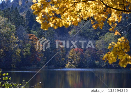 チミケップ湖の紅葉 チミケップ湖の紅葉 132394856
