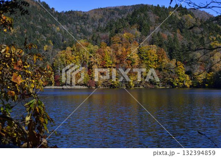 チミケップ湖の紅葉 132394859