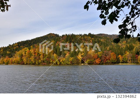 チミケップ湖の紅葉 チミケップ湖の紅葉 132394862