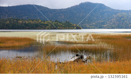 秋の尾瀬、草モミジの紅葉に包まれた尾瀬ヶ原と尾瀬沼トレッキング、群馬県,日本 132395161