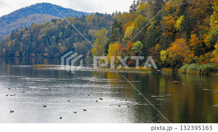 秋の尾瀬、草モミジの紅葉に包まれた尾瀬ヶ原と尾瀬沼トレッキング、群馬県,日本 秋の尾瀬、草モミジの紅葉に包まれた尾瀬ヶ原と尾瀬沼トレッキング、群馬県,日本 132395163