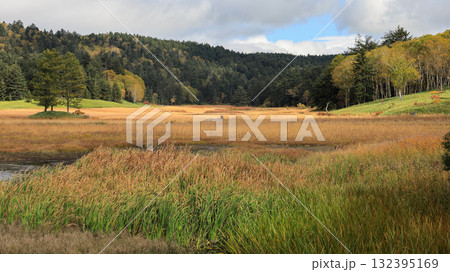 秋の尾瀬、草モミジの紅葉に包まれた尾瀬ヶ原と尾瀬沼トレッキング、群馬県,日本 132395169