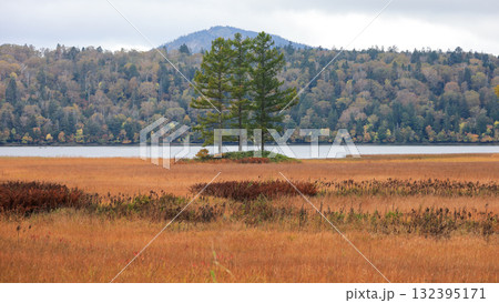 秋の尾瀬、草モミジの紅葉に包まれた尾瀬ヶ原と尾瀬沼トレッキング、群馬県,日本 132395171