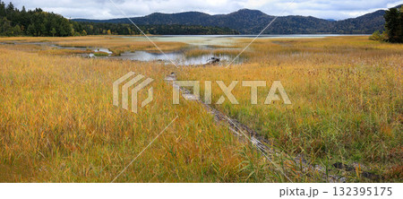 秋の尾瀬、草モミジの紅葉に包まれた尾瀬ヶ原と尾瀬沼トレッキング、群馬県,日本 132395175