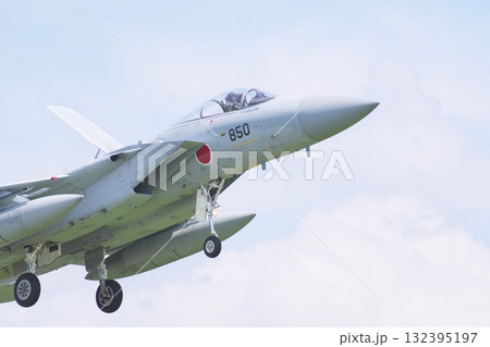 着陸態勢の航空自衛隊のF-15J　 132395197