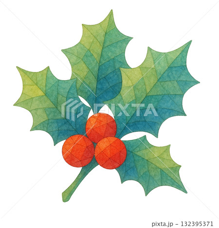 【クリスマス】柊のイラスト 132395371