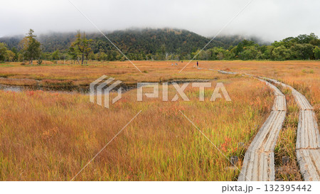 秋の尾瀬、草モミジの紅葉に包まれた尾瀬ヶ原と尾瀬沼トレッキング、群馬県,日本 132395442