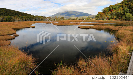 秋の尾瀬、草モミジの紅葉に包まれた尾瀬ヶ原と尾瀬沼トレッキング、群馬県,日本 132395444