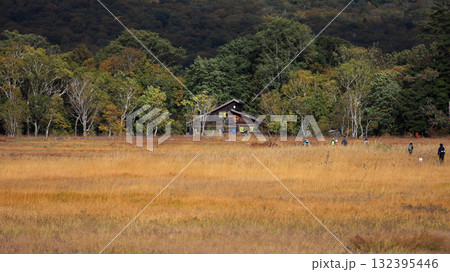秋の尾瀬、草モミジの紅葉に包まれた尾瀬ヶ原と尾瀬沼トレッキング、群馬県,日本 132395446