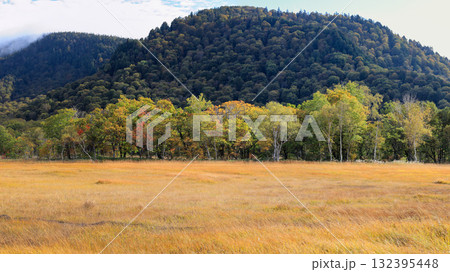 秋の尾瀬、草モミジの紅葉に包まれた尾瀬ヶ原と尾瀬沼トレッキング、群馬県,日本 132395448