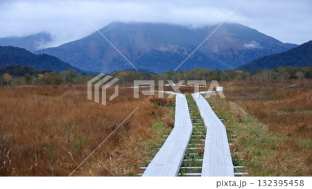 秋の尾瀬、草モミジの紅葉に包まれた尾瀬ヶ原と尾瀬沼トレッキング、群馬県,日本 132395458