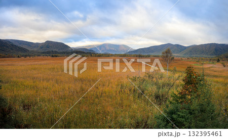 秋の尾瀬、草モミジの紅葉に包まれた尾瀬ヶ原と尾瀬沼トレッキング、群馬県,日本 132395461