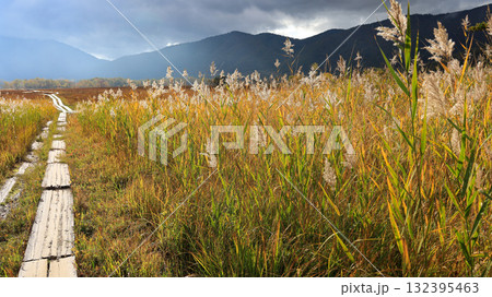 秋の尾瀬、草モミジの紅葉に包まれた尾瀬ヶ原と尾瀬沼トレッキング、群馬県,日本 132395463