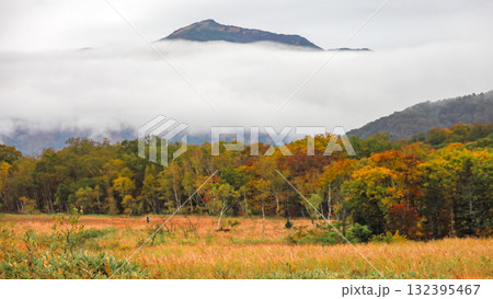 秋の尾瀬、草モミジの紅葉に包まれた尾瀬ヶ原と尾瀬沼トレッキング、群馬県,日本 132395467