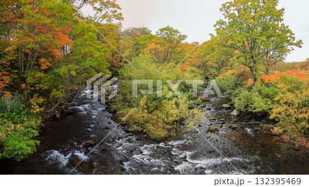 秋の尾瀬、草モミジの紅葉に包まれた尾瀬ヶ原と尾瀬沼トレッキング、群馬県,日本 132395469
