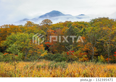 秋の尾瀬、草モミジの紅葉に包まれた尾瀬ヶ原と尾瀬沼トレッキング、群馬県,日本 132395471