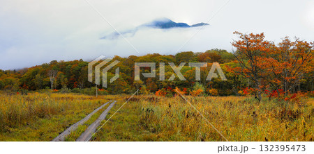 秋の尾瀬、草モミジの紅葉に包まれた尾瀬ヶ原と尾瀬沼トレッキング、群馬県,日本 132395473