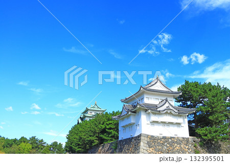 愛知県名古屋市、名古屋城の風景 愛知県名古屋市、名古屋城の風景 132395501