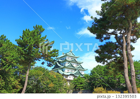 愛知県名古屋市、名古屋城の風景 愛知県名古屋市、名古屋城の風景 132395503