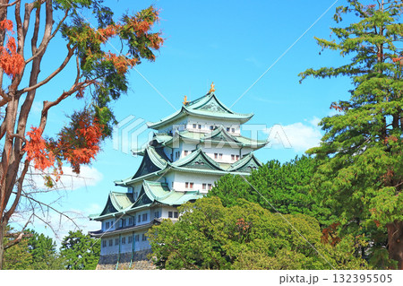 愛知県名古屋市、名古屋城の風景 132395505