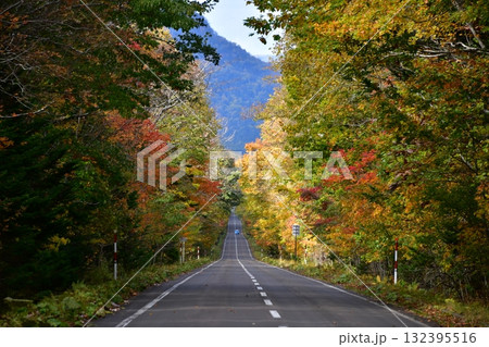 川湯温泉グリーンロード 川湯温泉グリーンロード 132395516