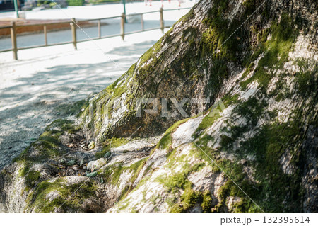 太宰府 大宰府 九州 132395614