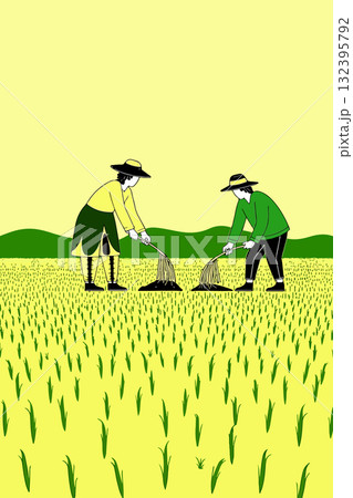 Farmers Working in Rice Field Farmers Working in Rice Field 132395792
