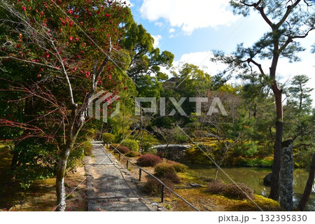 池のある等持院の庭園 132395830
