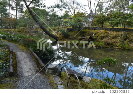 池のある等持院の庭園 132395832