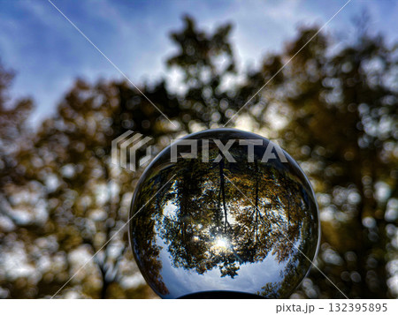 Forest and Blue Sky Reflected in Glass Sphere Forest and Blue Sky Reflected in Glass Sphere 132395895