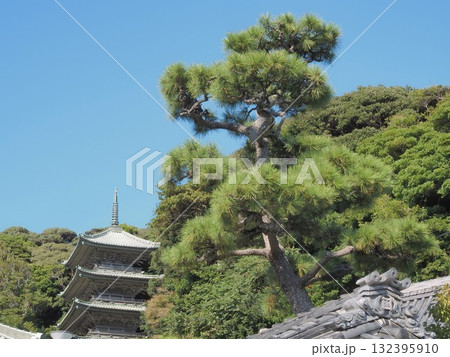 神奈川県 龍口寺 五重塔 10月 神奈川県 龍口寺 五重塔 10月 132395910