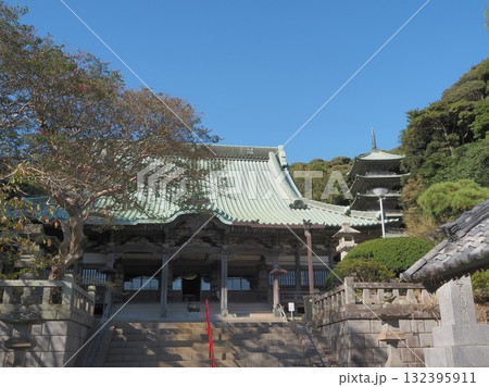 神奈川県 龍口寺 本堂と五重塔 10月 神奈川県 龍口寺 本堂と五重塔 10月 132395911