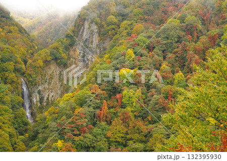 志賀高原の紅葉【澗満滝】 132395930