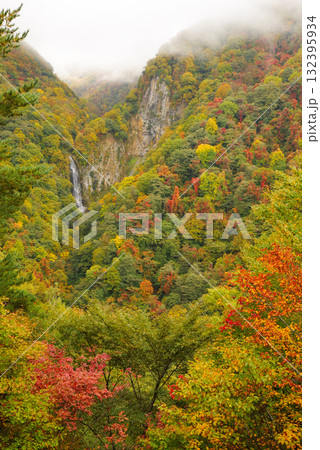 志賀高原の紅葉【澗満滝】 132395934