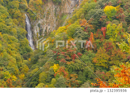 志賀高原の紅葉【澗満滝】 132395936