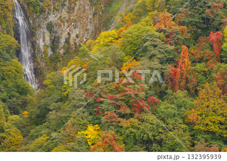 志賀高原の紅葉【澗満滝】 132395939