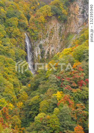 志賀高原の紅葉【澗満滝】 132395940