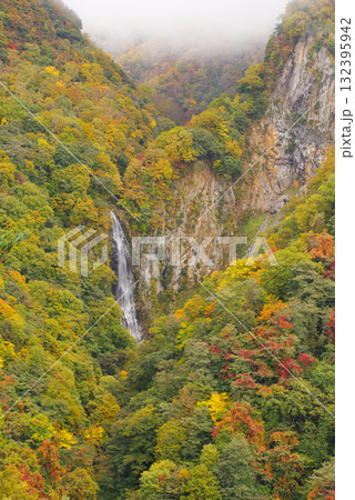 志賀高原の紅葉【澗満滝】 志賀高原の紅葉【澗満滝】 132395942