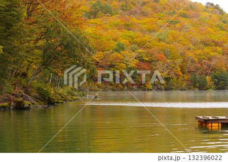 志賀高原の紅葉【琵琶池】 132396022