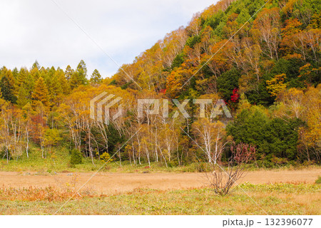 田ノ原湿原の紅葉【志賀高原】 132396077