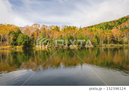 志賀高原・木戸池 132396124