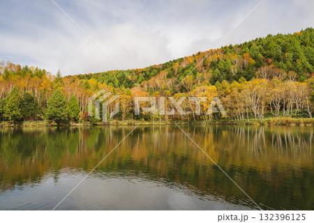 志賀高原・木戸池 132396125