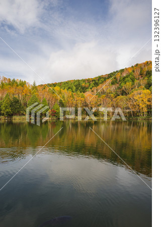 志賀高原・木戸池 132396127