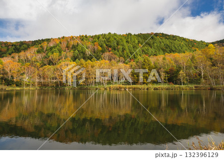 志賀高原・木戸池 132396129