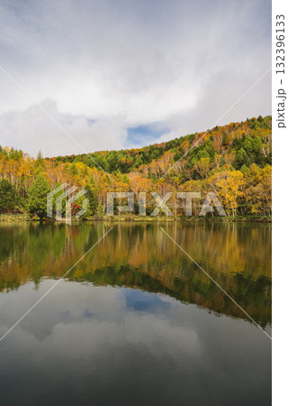 志賀高原・木戸池 132396133