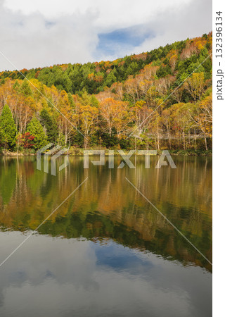 志賀高原・木戸池 132396134