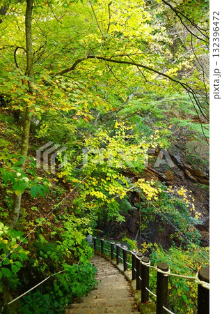 秋色に染まる松川渓谷 雷滝の紅葉の風景 秋色に染まる松川渓谷 雷滝の紅葉の風景 132396472