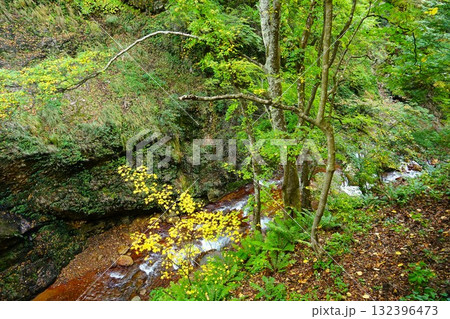 秋色に染まる松川渓谷 雷滝の紅葉の風景 秋色に染まる松川渓谷 雷滝の紅葉の風景 132396473